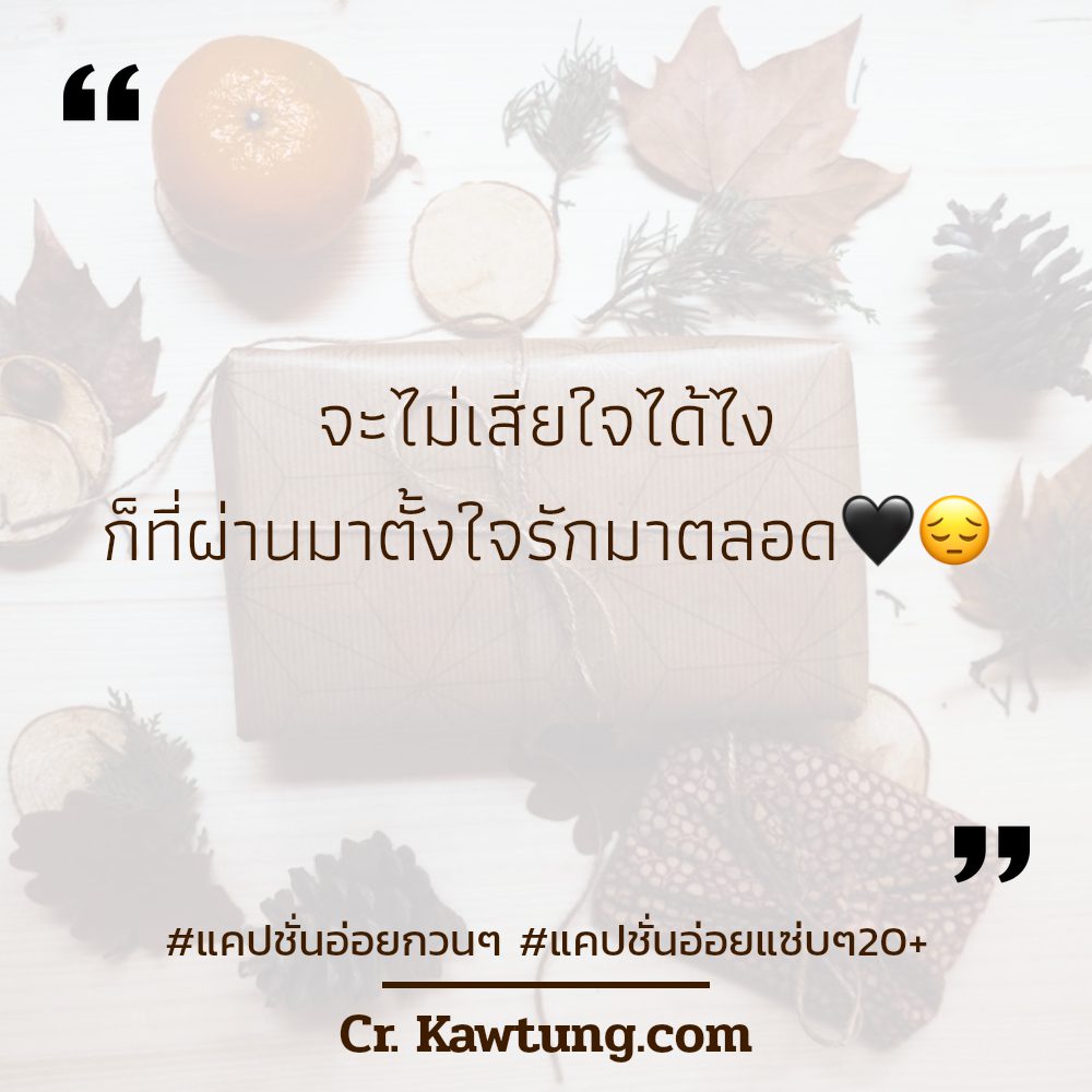 😗 แคปชั่นโสด แคปชั่นกวนๆ