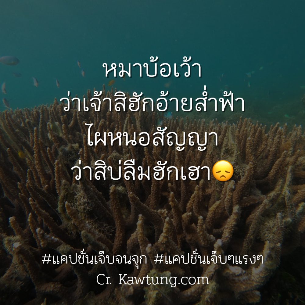 😥 แคปชั่นความรู้สึกพัง