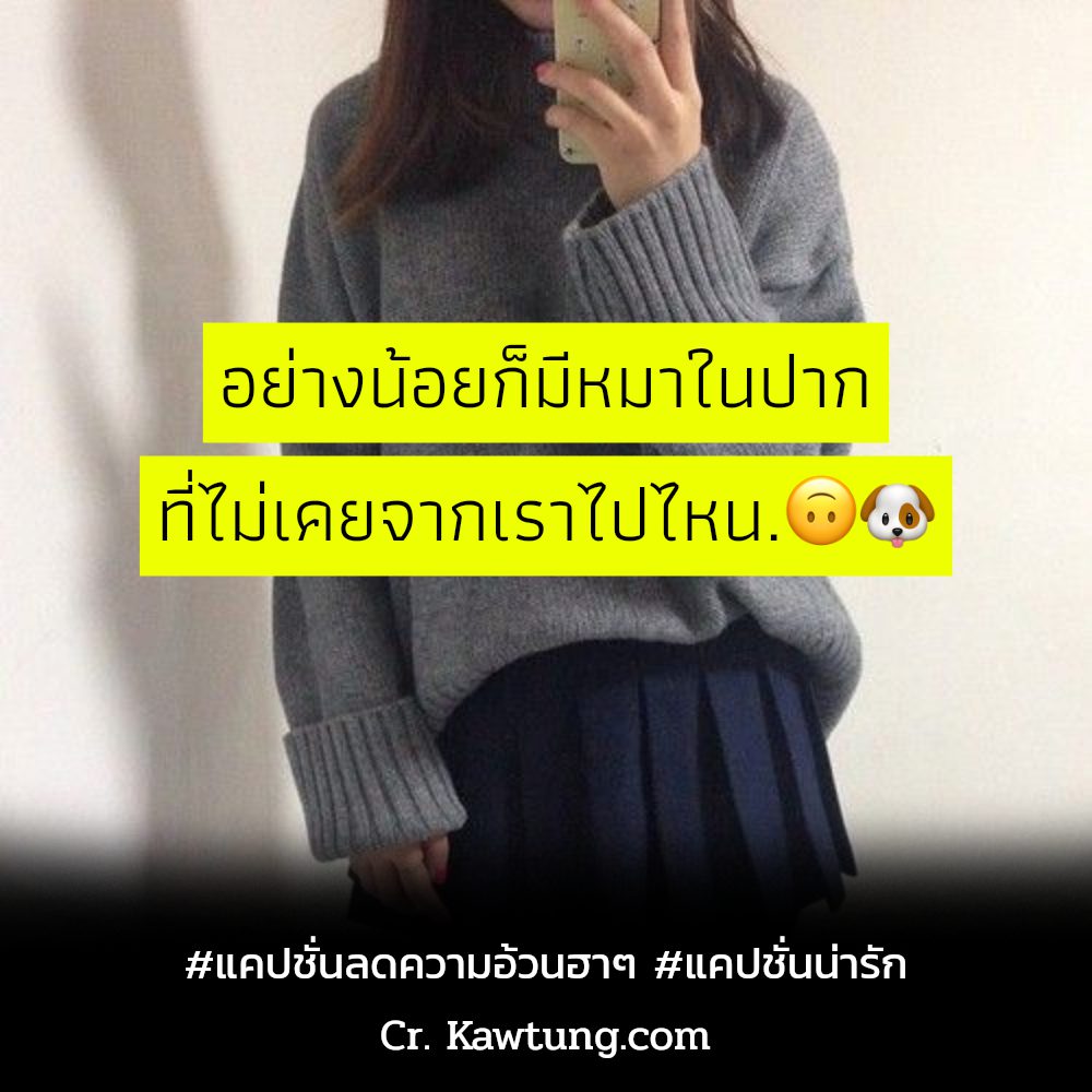 🌑 แคปชั่นอ้วนกลม