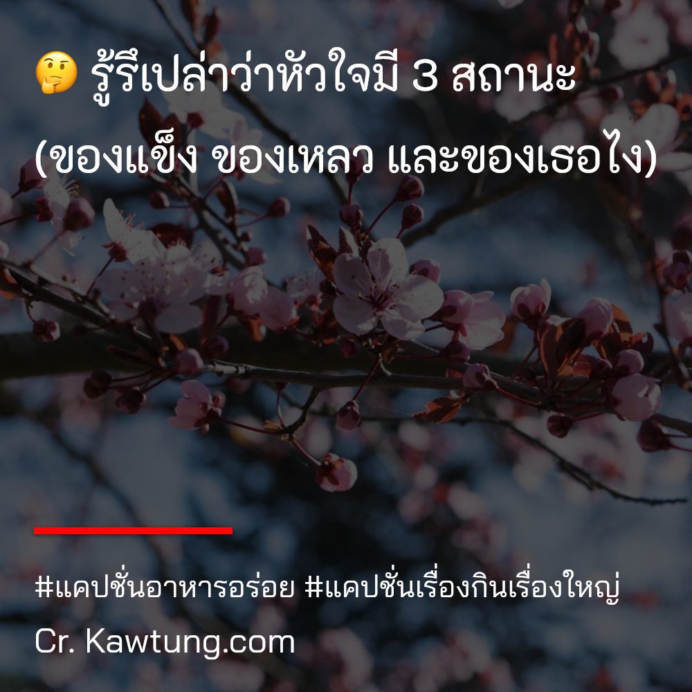 🎏 แคปชั่นอาหาร จากทวิตเตอร์