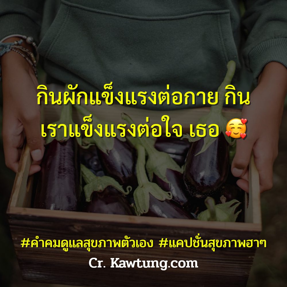 📹 คำคมกลอนสุขภาพดีไม่มีขาย